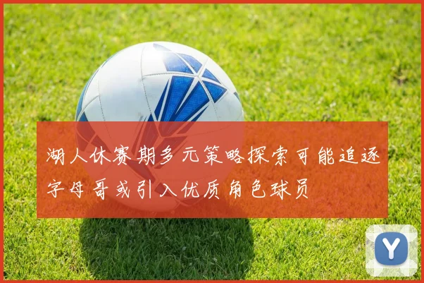 湖人休赛期多元策略探索可能追逐字母哥或引入优质角色球员